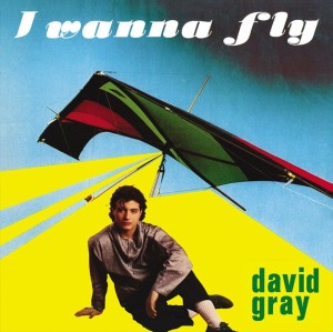 David Gray  – I Wanna Fly   12